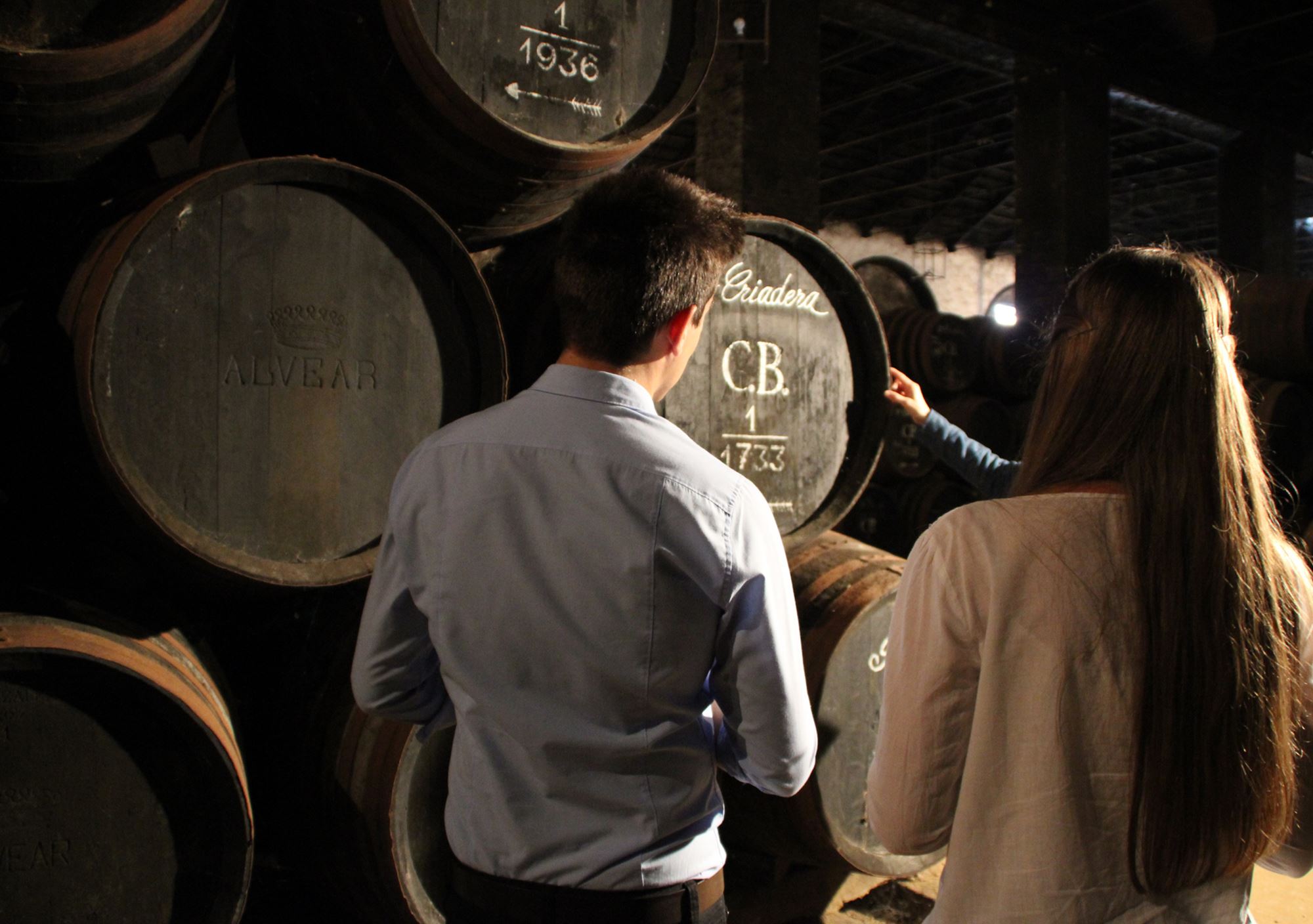 visitas y cata de vinos en Bodegas Alvear en Montilla de Córdoba